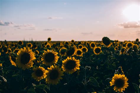hd wallpaper for laptop|aesthetic hd wallpaper for laptop.